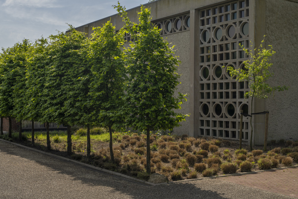 Selwerderhof met oude en nieuwe aula